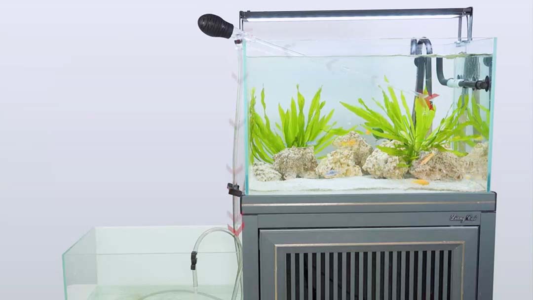 Siphon and coral feeder kit show video
