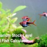 Aquarium Stock Level And Fish Calculator