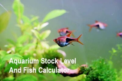 Aquarium Stock Level And Fish Calculator