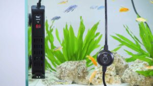 hygger 008 Vertical Aquarium Heater Video