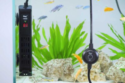 hygger 008 Vertical Aquarium Heater Video