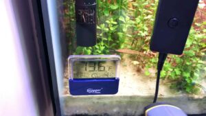 Hygger 073 Digital Thermometer Review Video