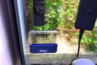 Hygger 073 Digital Thermometer Review Video