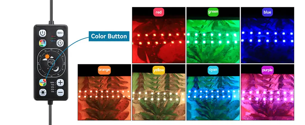 Program LED plant light