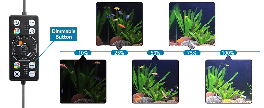 Plant light brightness