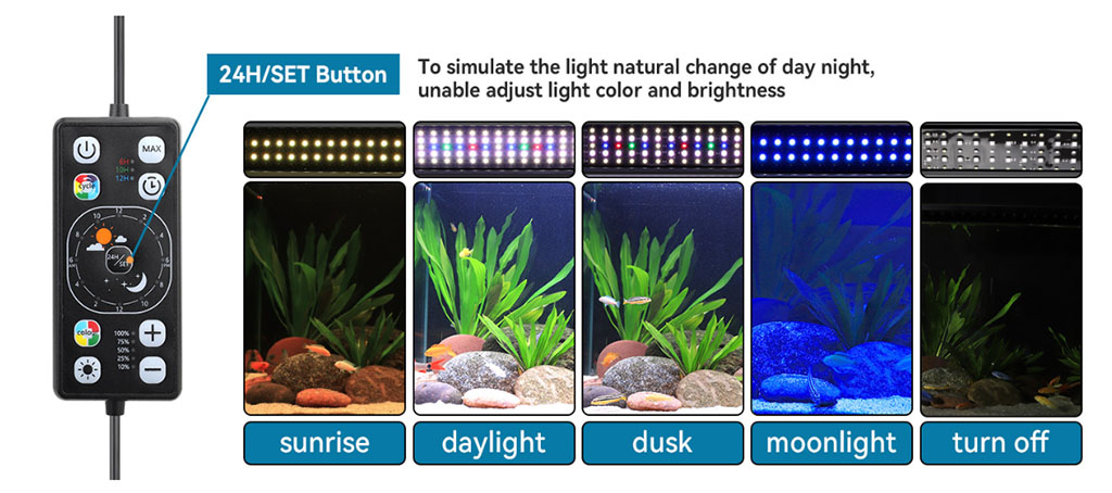 LED plant light cycle mode