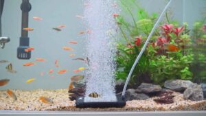 Aquarium 093 Nano Air Diffuser Video