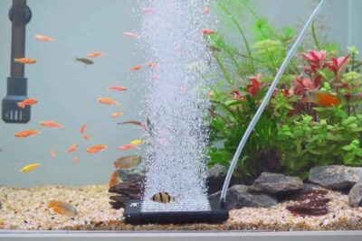 hygger Aquarium 093 Nano Air Diffuser Video