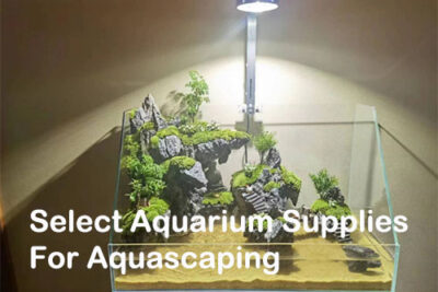 Select Aquarium Supplies For Aquascaping