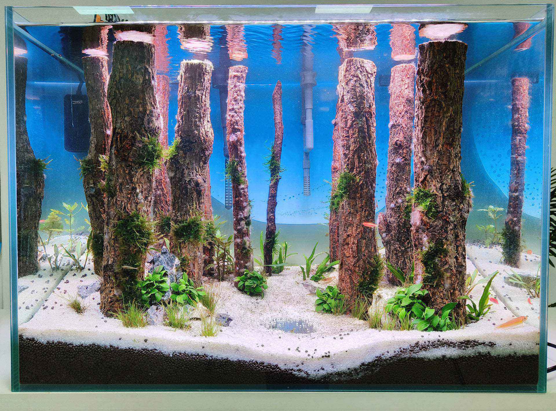 Freshwater aquarium supplies clearance online