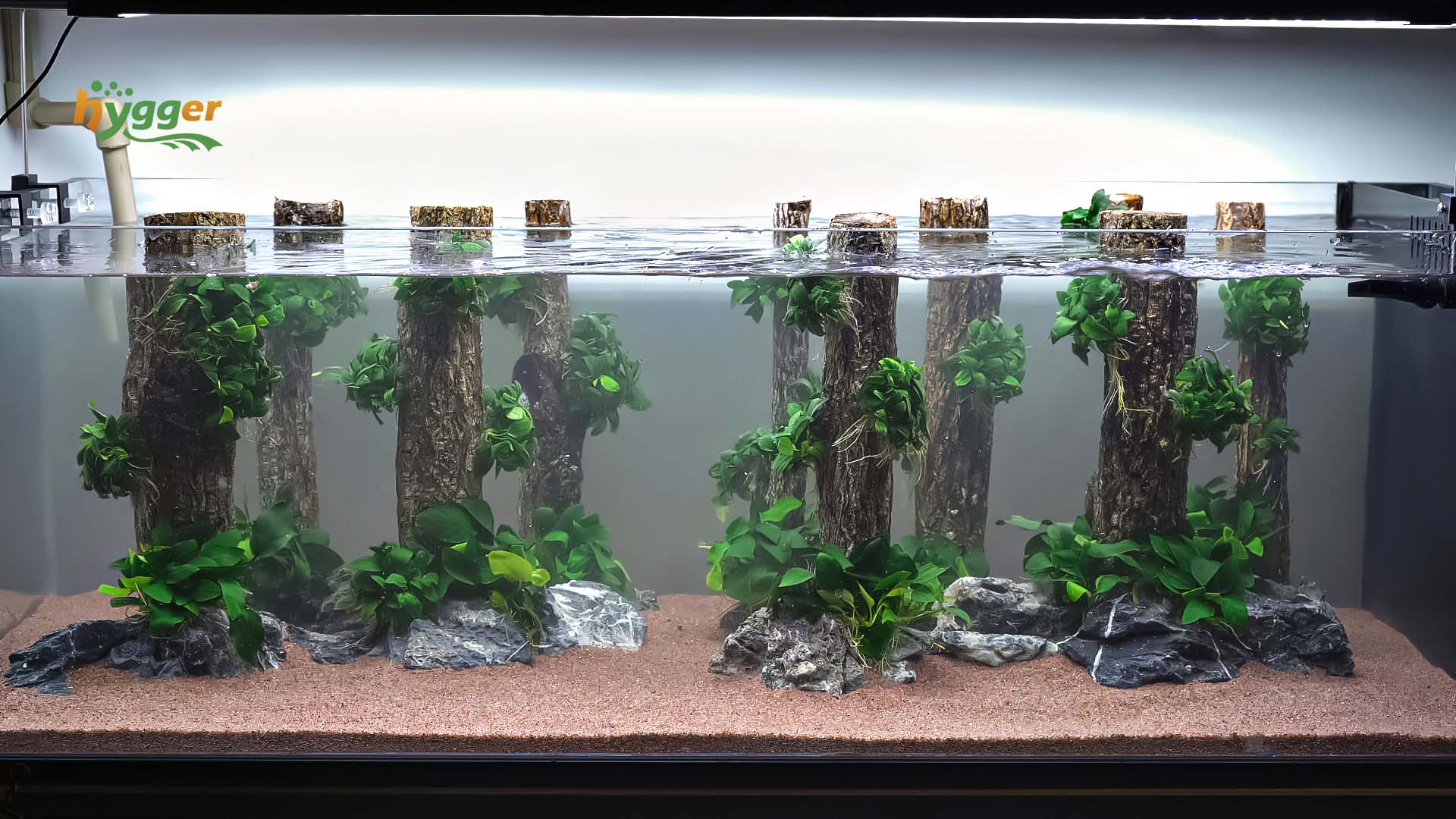 aquarium lighting needs