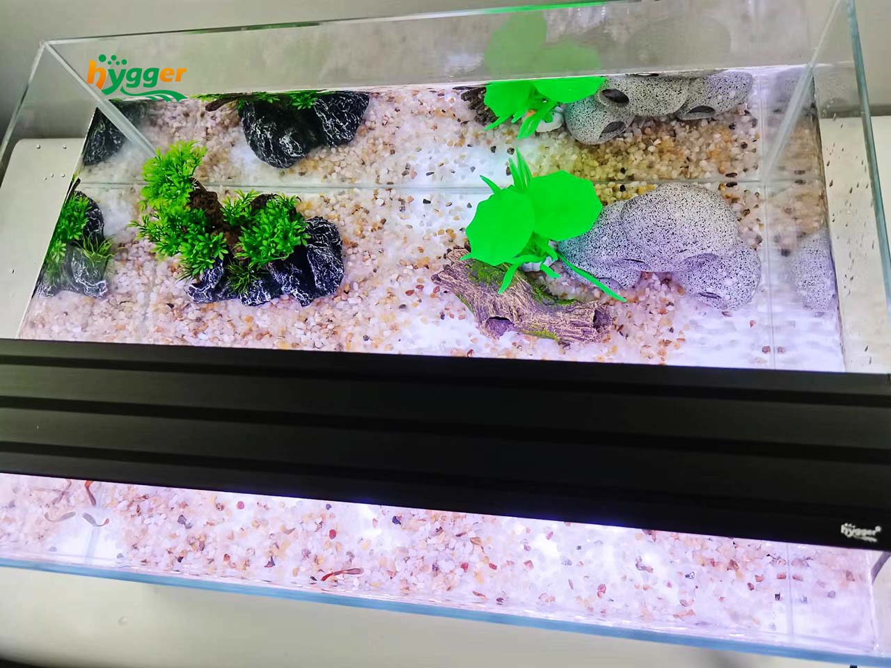 new aquarium tips