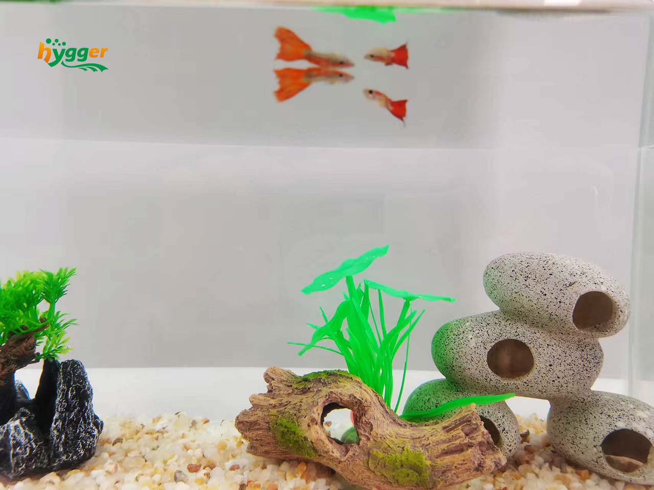 new fish tank tips