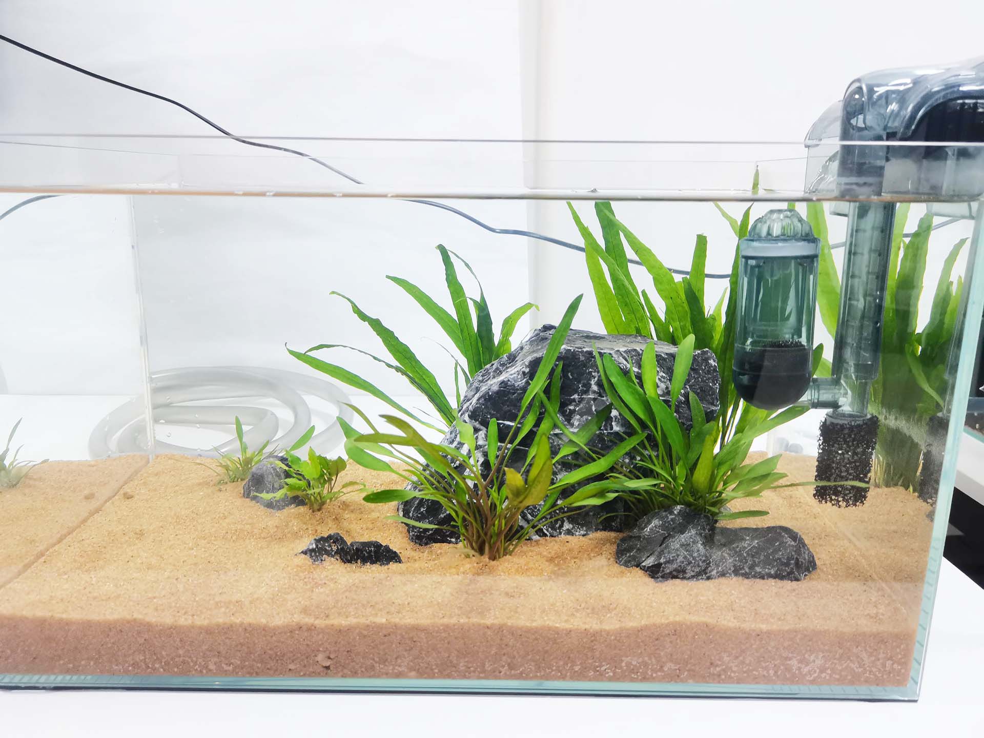 diy fish tank