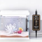 Mini saltwater tank heater