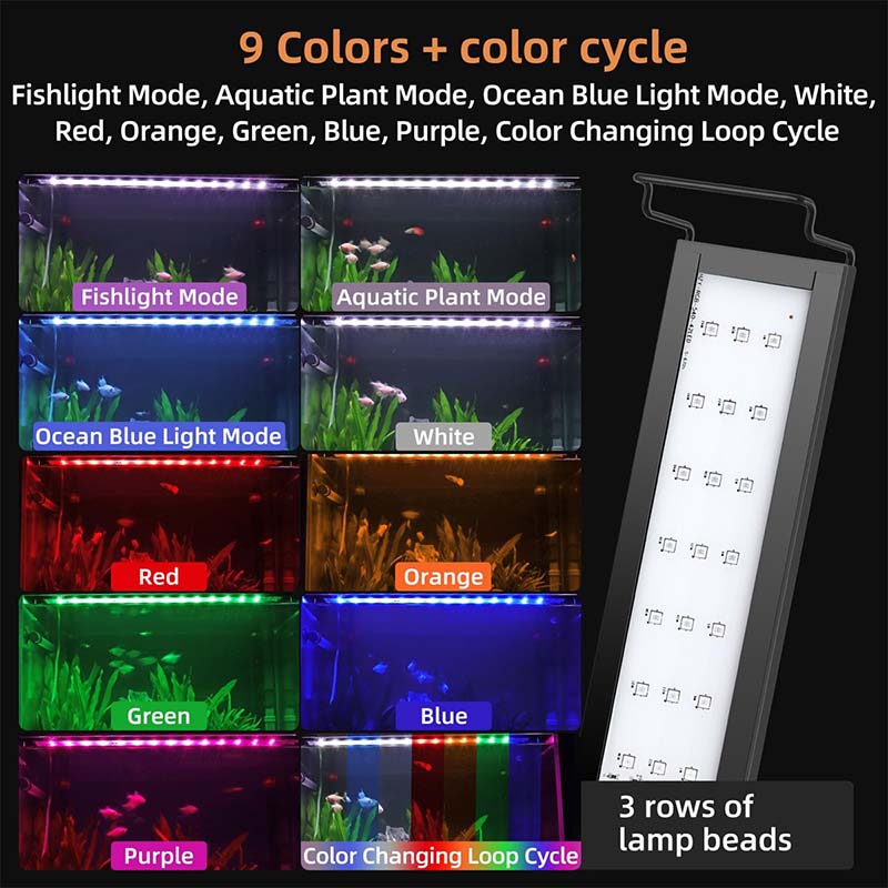 Aquarium light color cycle