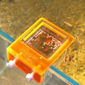 Prevents fish food from scattering