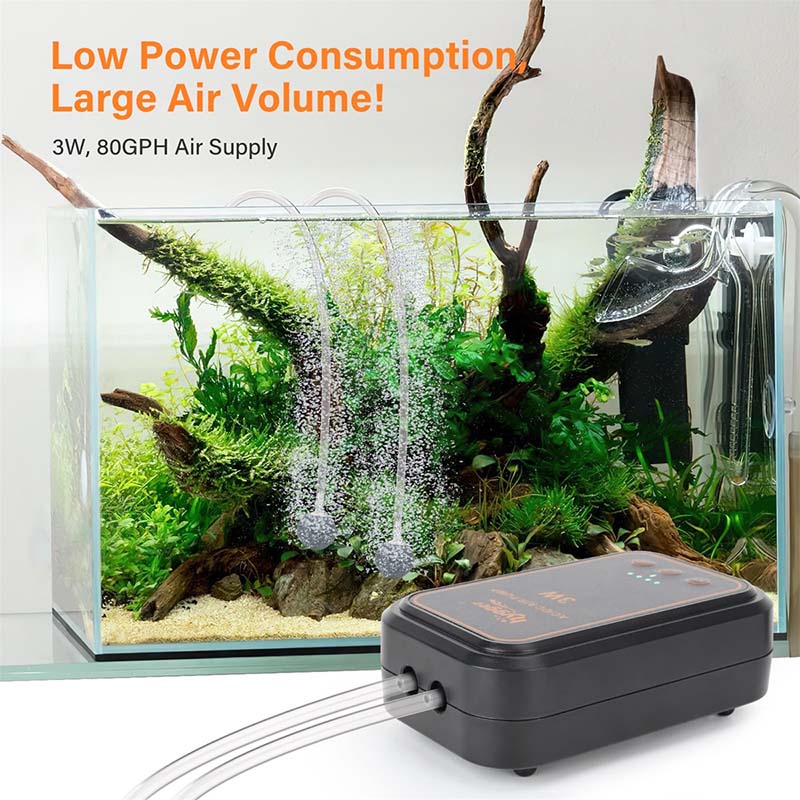 What Does an Air Pump Do in Aquarium - hygger