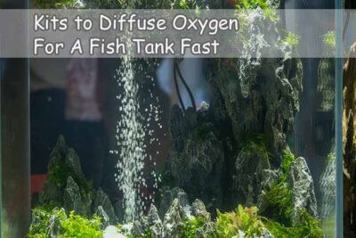 Kits to Diffuse Oxygen For A Fish Tank Fast