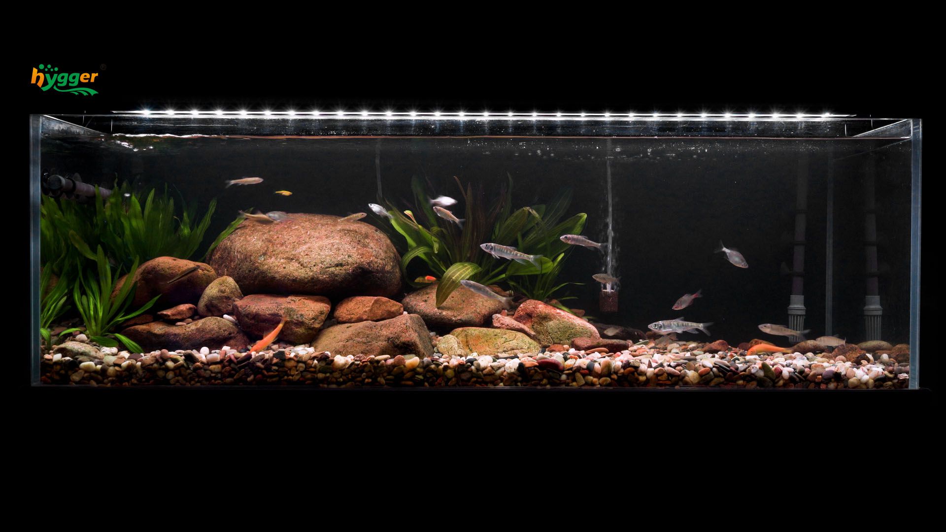 Diffuse Oxygen For A Fish Tank