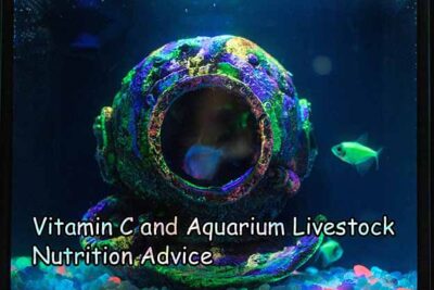 Vitamin C and Aquarium Livestock Nutrition Advice