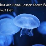 What are Some Lesser Known Facts About Fish