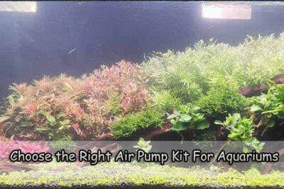 Choose the Right Air Pump Kit For Aquariums