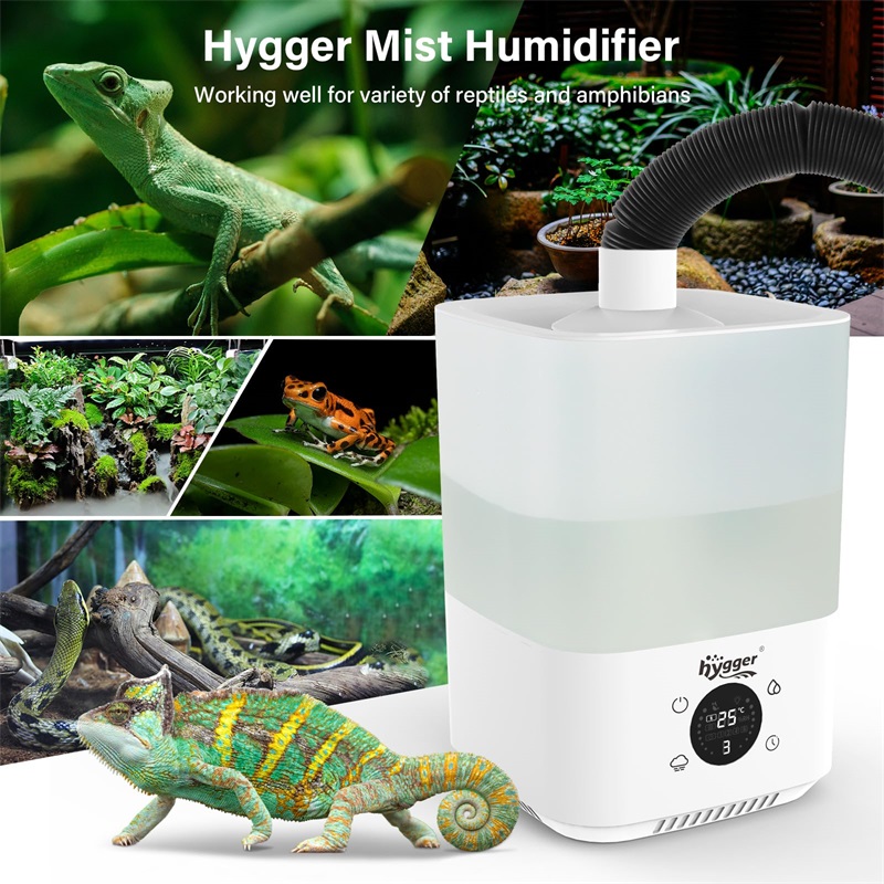 Mist humidifier for reptile