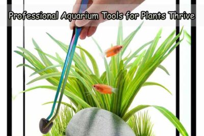 Professional Aquarium Tools for Plants Thrive
