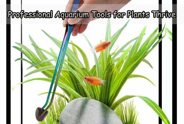 Professional Aquarium Tools for Plants Thrive - hygger