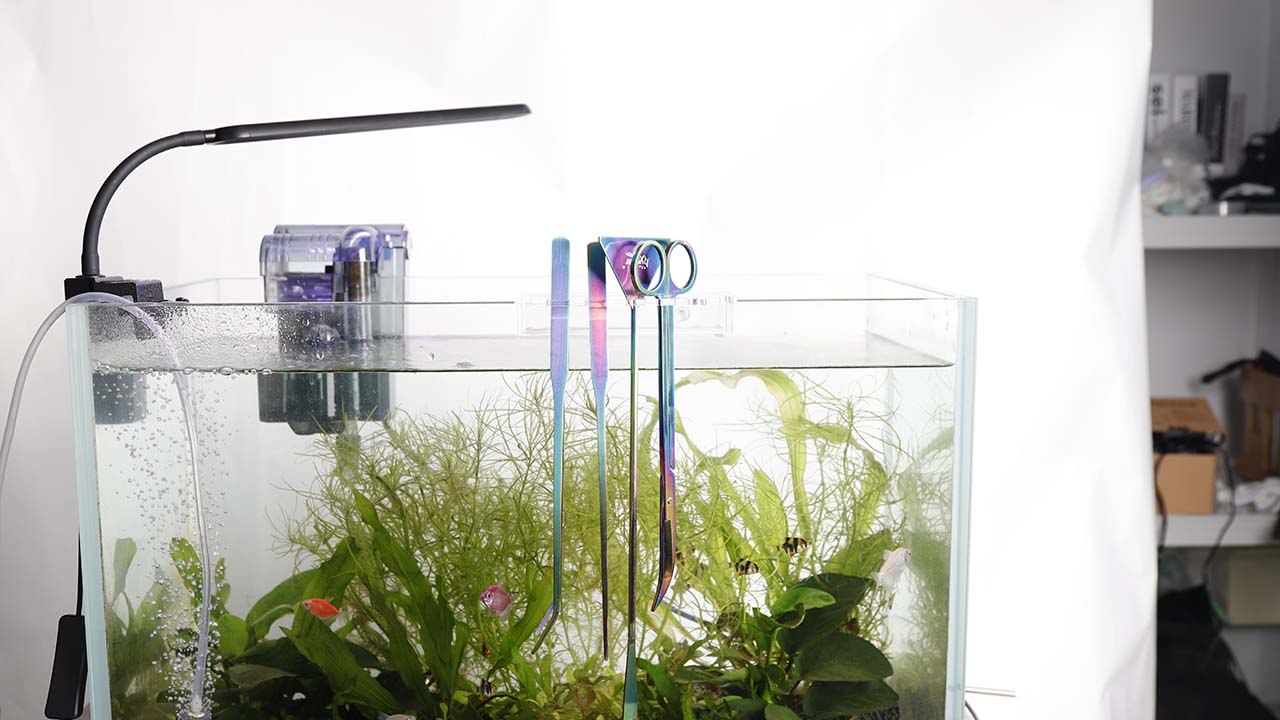 aquarium plant trimming tools