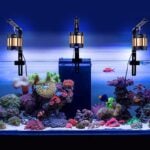 Full spectrum marine light