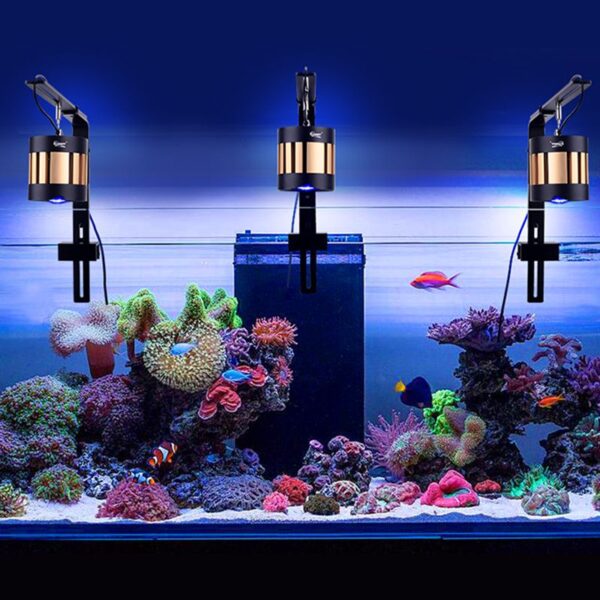Full spectrum marine light