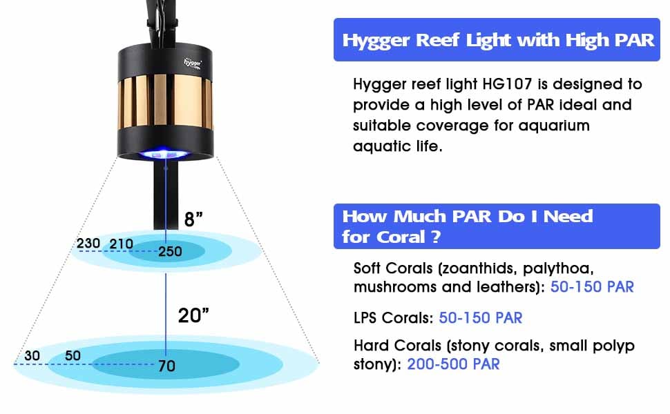Saltwater light high PAR