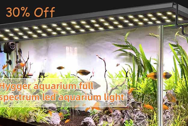 Get 30% Off for hygger 089 Extendable LED Light