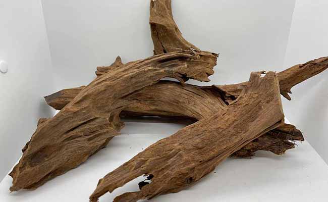 Malaysian Driftwood