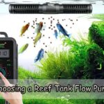 Choosing a Reef Tank Flow Pump