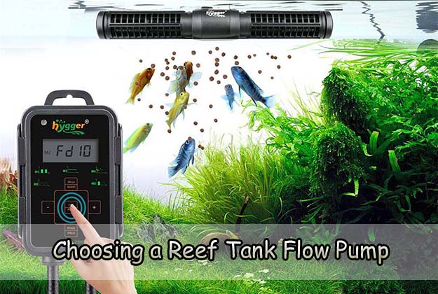 Choosing a Reef Tank Flow Pump