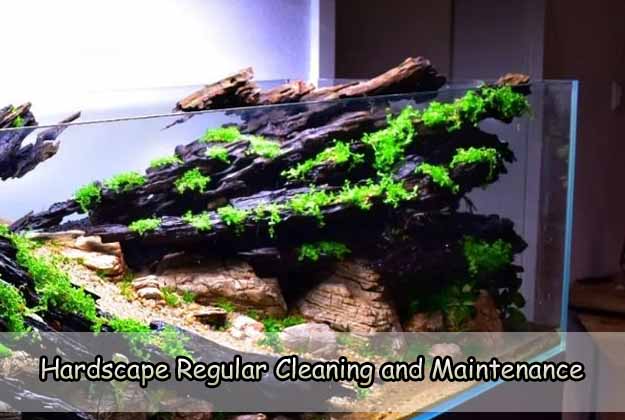 Hardscape Regular Cleaning and Maintenance