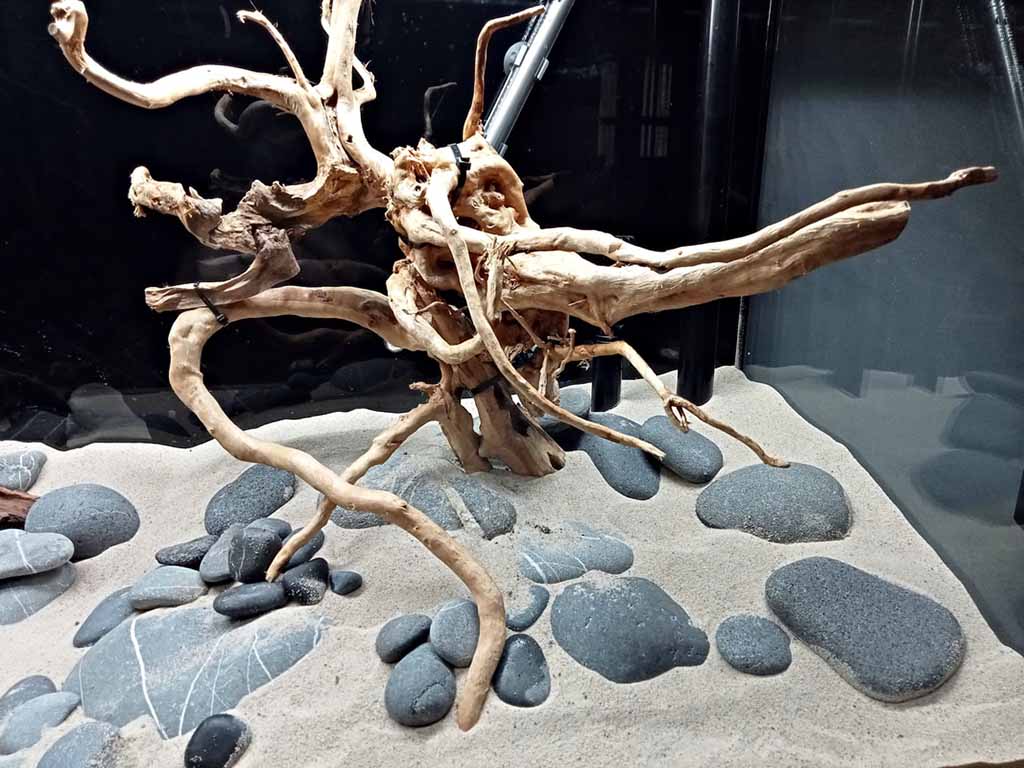 tips for hardscape maintenance