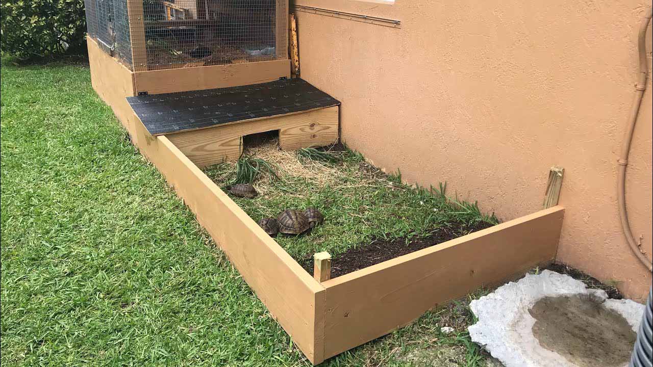 how to build a tortoise enclosure