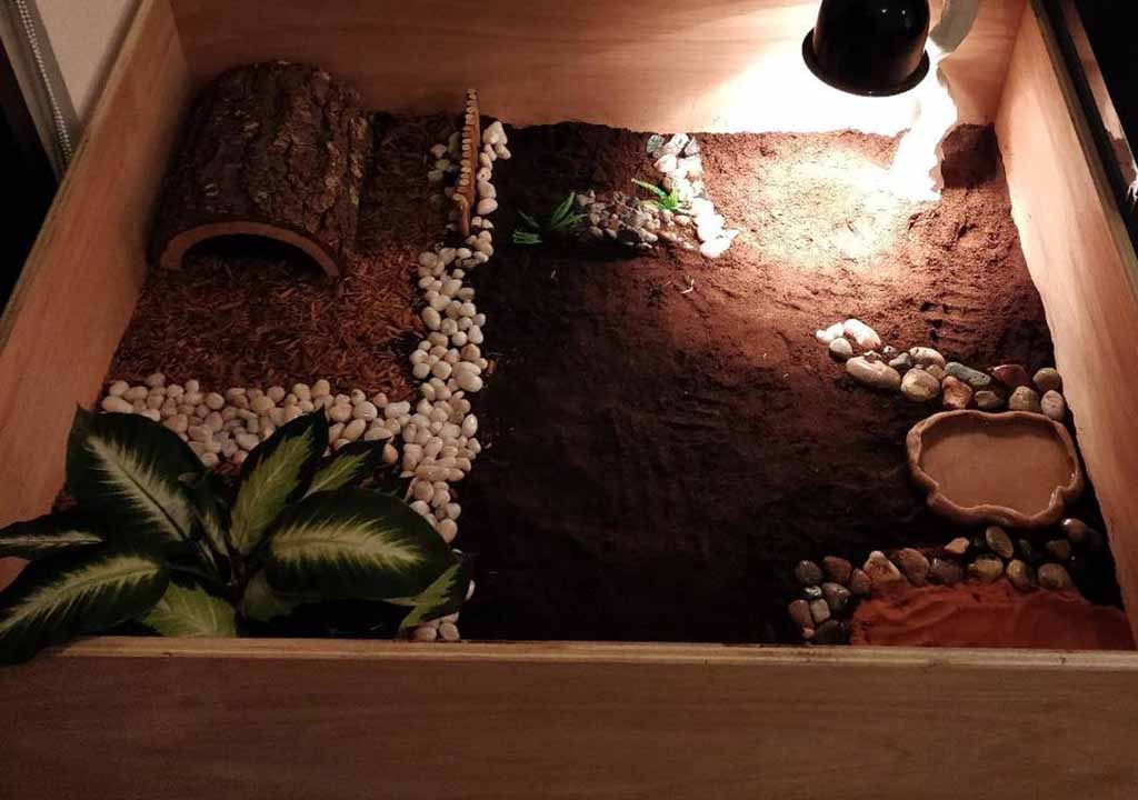 How to Build Tortoise Enclosure