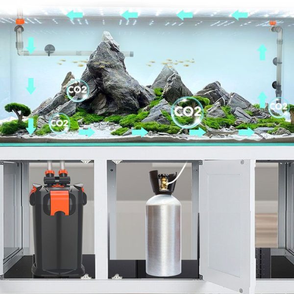 Intelligent canister filter for saltwater tanks