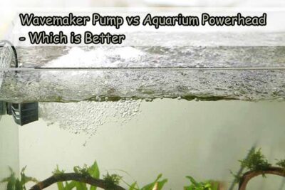 Wavemaker Pump vs Aquarium Powerhead – Which is Better
