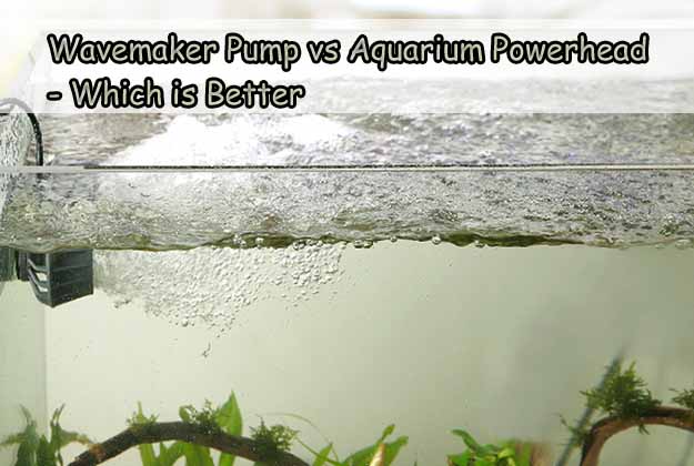 Wavemaker Pump vs Aquarium Powerhead - Which is Better