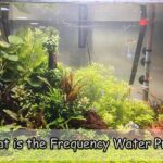 What is the Frequency Water Pump for Aquarium