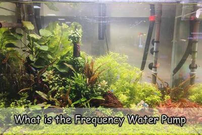 What is the Frequency Water Pump for Aquarium