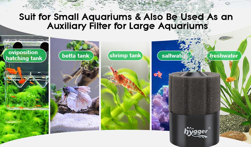 filtering aquarium water