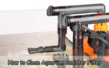 How to Clean Aquarium Canister Filter