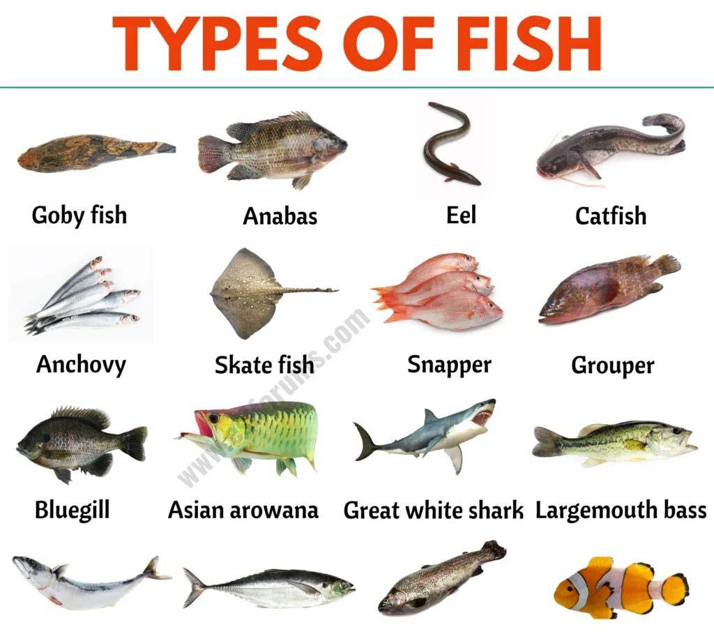 can fish change gender